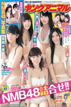 所有电视剧